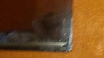 Nueva Enredadera XVIDEOS