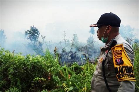 Polisi Diminta Tindak Tegas Pembakar Lahan Di Palangka Raya ANTARA News