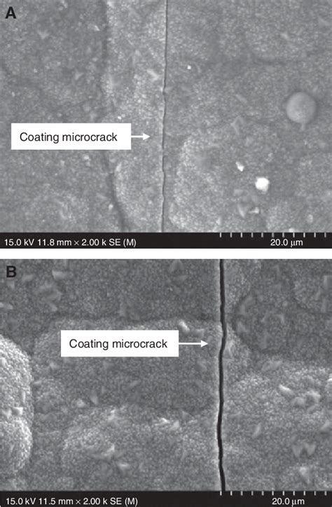 The Morphologies Of The Sic Coating Of The Two Composites A The