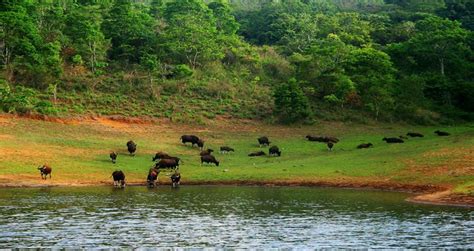 Debrigarh wildlife sanctuary