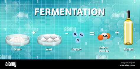 Alcoholic fermentation chemical equation Stock Vector Image & Art - Alamy