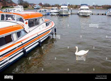 Boats On Norfolk Broads Stock Photo Alamy