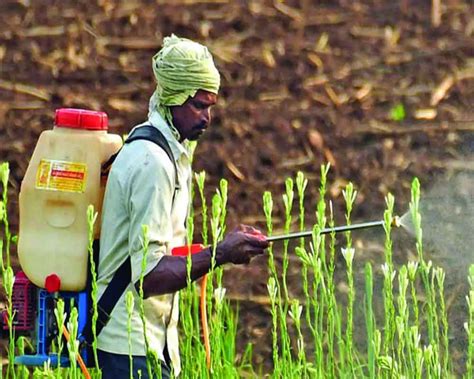 Plug Leakages In Fertiliser Subsidy