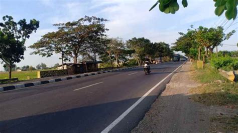 Jual Tanah Sawah Pinggir Jalan Raya Pantura