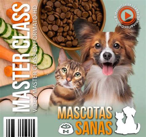 Alimentación Natural De Perros Y Gatos ¡mascotas Sanas Seminarios Online