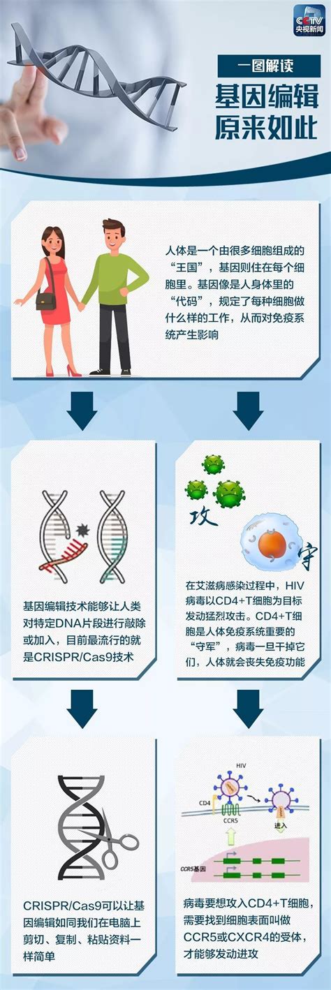 基因编辑原来是这么回事 一张图看懂了科技腾讯网