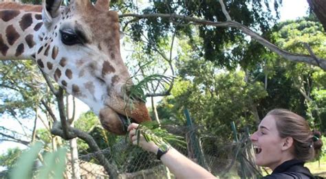 ACTIVITIES AT ENTEBBE ZOO - Vibrant Holiday Safaris