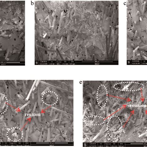 Sem Micrographs Of The Impact Fracture Surfaces For The Lgf Pbt