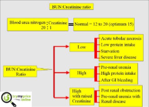 Protein Creatinine Ratio Pregnancy Calculator And Its Usage Tmp