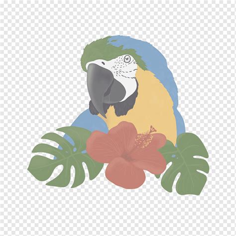 Pássaro Papagaio Pintura Obra Png Pngwing