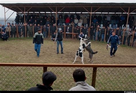 Москва. Кастинг в новый драматический проект платформы “START ...