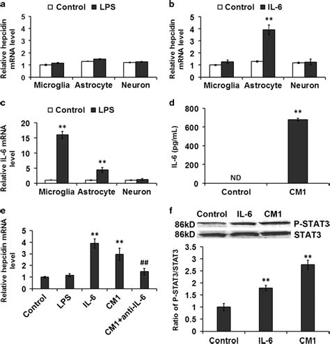 Lps Induced Hepcidin Expression In Astrocytes Is Regulated By Il 6 From