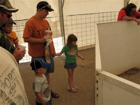 Okeene Rattlesnake Roundup 2008