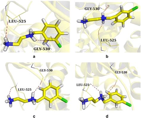 Structural Conformation Of Protein And Compound Complex At Different