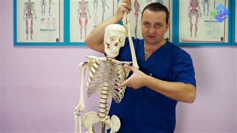 Курсы массажа Институт массажа и косметологии - YouTube