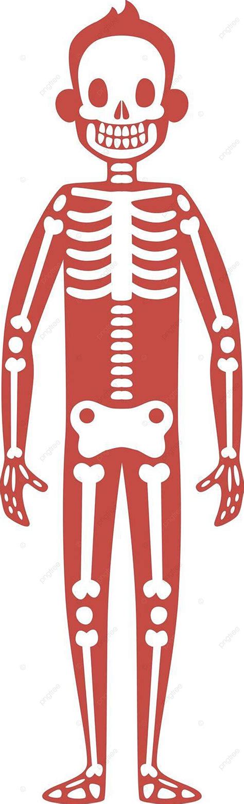 Aprenda Anatomia Explorando A Biologia Do Corpo Humano Através Do