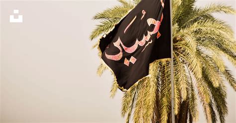 Drapeau Noir Et Rouge Sur Un Poteau à Côté Dun Cocotier Vert Photo