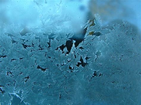 frost  window   photo  freeimages
