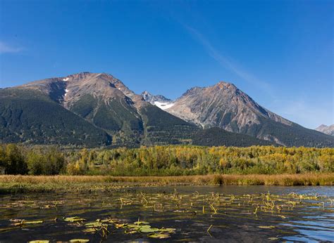 Smithers Attractions 60 Photos