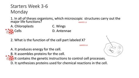 Starters Week 3 6 Monday 1 In All Of Theses Organisms Which