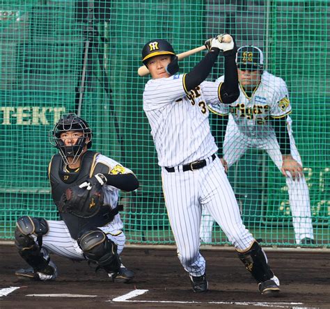 【阪神】日本シリーズ前最後のシート打撃 中継ぎ5人の前に大山悠輔の1安打のみ プロ野球写真ニュース 日刊スポーツ