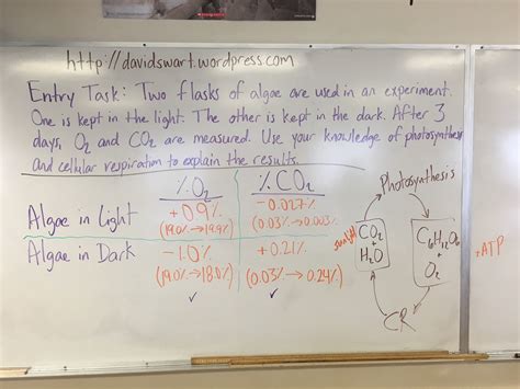 Photosynthesis Pogil 3