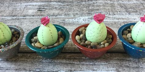Cactus Easter Eggs – zak.com