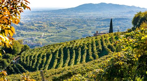 Approvato Il Piano Faunistico Venatorio Del Veneto Caccia Magazine