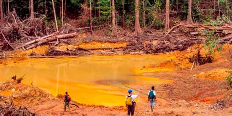 La Contaminación Minera Causas Efectos Y Principales Impactos — Grupo Casa Lima