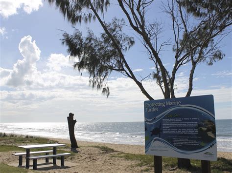 Moore Park Beach Attraction Queensland