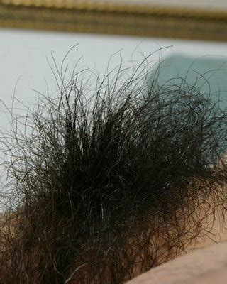 Haarige Muschi Porno Bilder Xxx Bilder Sex Bilder Pictoa App Page Pictoa