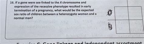 Solved 16 If A Gene Were Sex Linked To The X Chromosome And Chegg