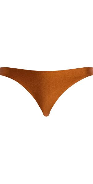 Jade Swim Most Wanted Bikini Bottoms Brown L