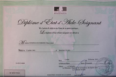 Diplome De Aide Soignante