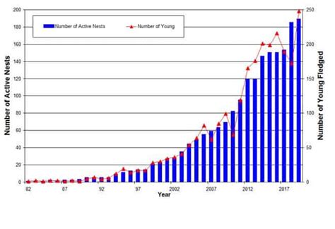 Bald Eagle Population Estimates (For 49 U.S. States) - Wildlife Informer