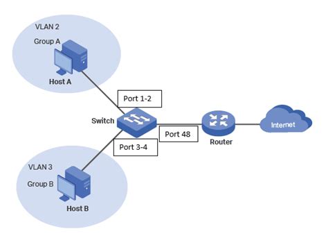 Multiple Vlan Setup Using Tplink And Draytek Router Clnet Solution