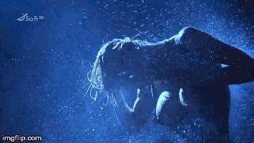 Pamela Anderson Page FreeOnes Forum The Free Sex Community