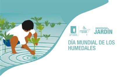 Día Mundial De Los Humedales