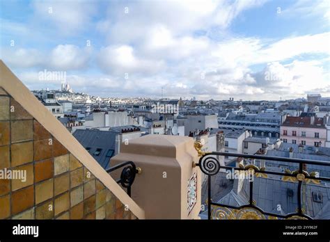 breathtaking rooftop view  paris beautifully showcasing  iconic