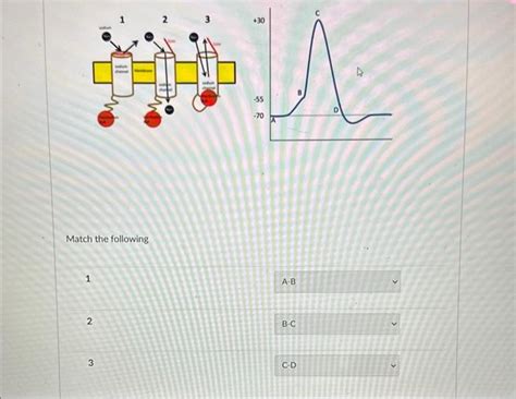 Solved Match the following | Chegg.com