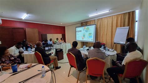 Congo Basin Rainforest Journalism Fund Regional Workshop | Pulitzer Center