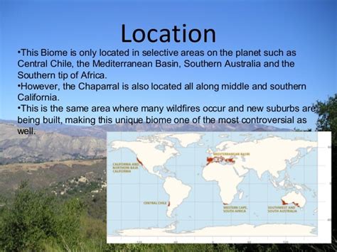 The chaparral biome