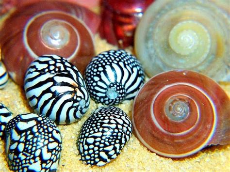 МОЙ МИР: МОРЕ 2