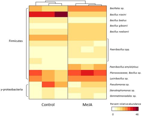 The relative similarity of each sample in terms of bacterial community ...