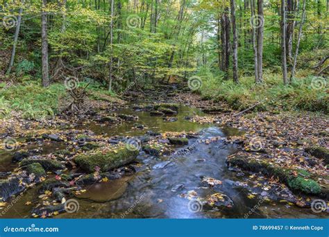 Autumn in the Alleghenies stock image. Image of autumn - 78699457