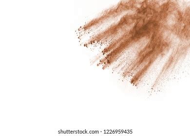 Bronzer Blusher Compact Powder Brown Nude Shutterstock