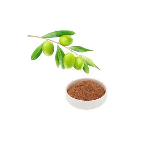 Vinpocetine Herbal Extract At ₹ 700kg Imported Herbal Extract In New