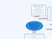 Ciclo De Vida En Las Organizaciones Mind Map