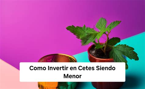 Como Invertir En Cetes Siendo Menor