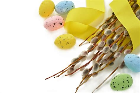 Premium Photo Easter Pussy Willows Branches Yellow Ribbon And Entwined Isolated